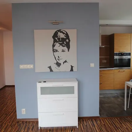 Apartament Mt *